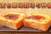 寺寺娱乐吃瓜,揭秘娱乐圈吃瓜背后的真相